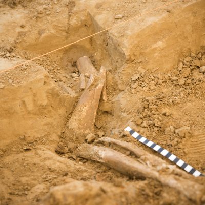 Dig Diary Day 8: Poignant Proof of the Human Cost of Battle