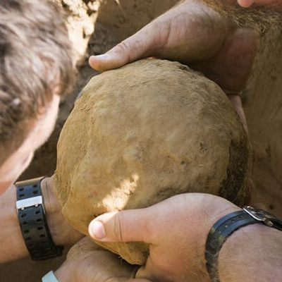Dig Diary Day 9: Bombs and Buttons