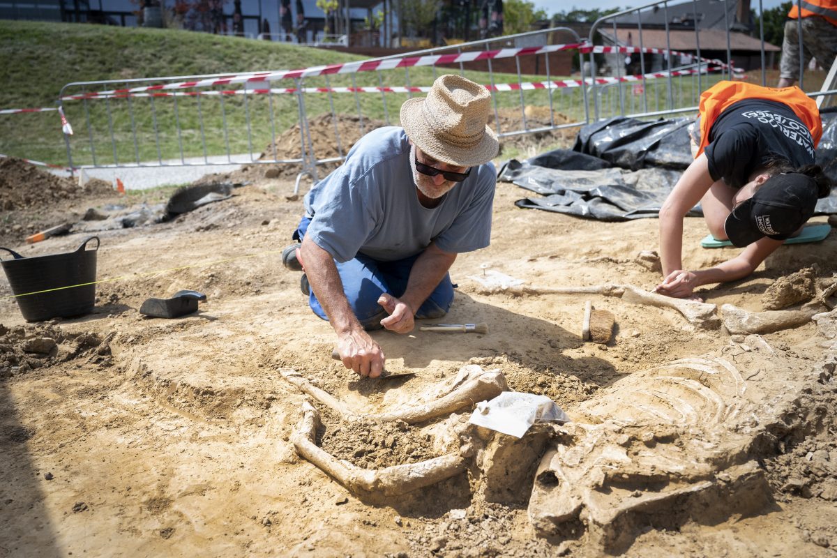 AWaP Archaeologist Dominique Bosquet during excavation